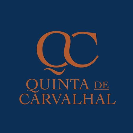 Вілла Quinta De Carvalhal - Casa Da Vinha Гімарайнш Екстер'єр фото