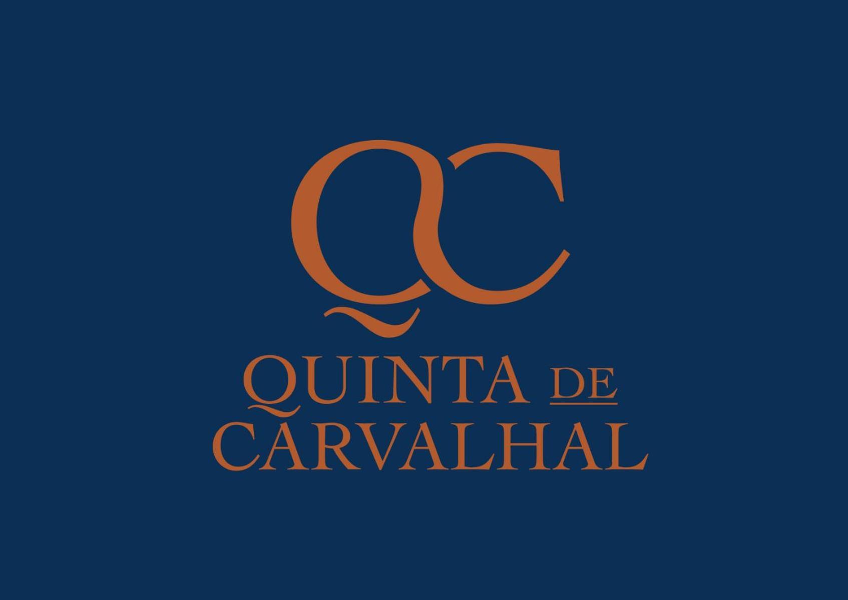 Вілла Quinta De Carvalhal - Casa Da Vinha Гімарайнш Екстер'єр фото