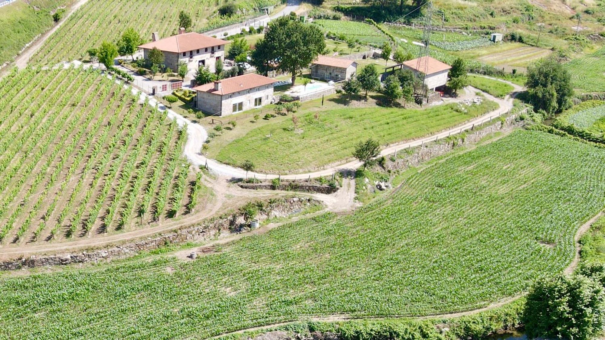 Вілла Quinta De Carvalhal - Casa Da Vinha Гімарайнш Екстер'єр фото